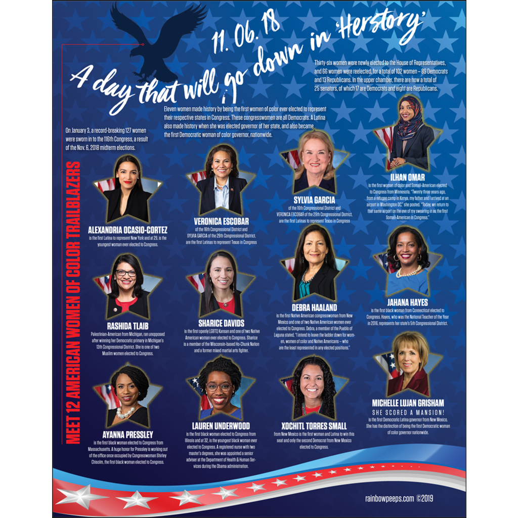 A DAY THAT WILL GO DOWN IN 'HERSTORY' 16 x 20 Poster
